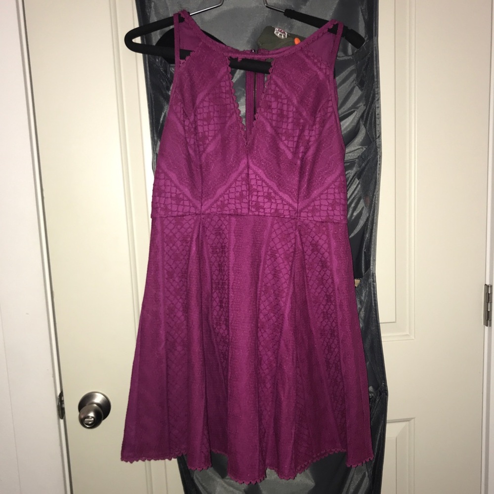 Free people pink lace fit and flare dress